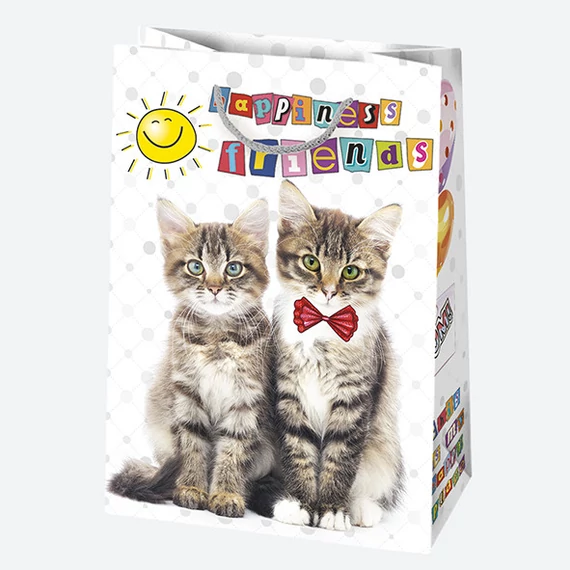 Happy Birthday Friends papír ajándéktasak, ajándékzacskó 23x32x11 cm