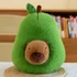 Avokádós Capybara plüss kivehető figurával 32cm Berki Mazsi Játékshop mazsishop