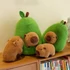 Avokádós Capybara plüss kivehető figurával 32cm Berki Mazsi Játékshop mazsishop