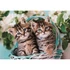 Cicás Lovely Twins 60 db-os puzzle Clementoni